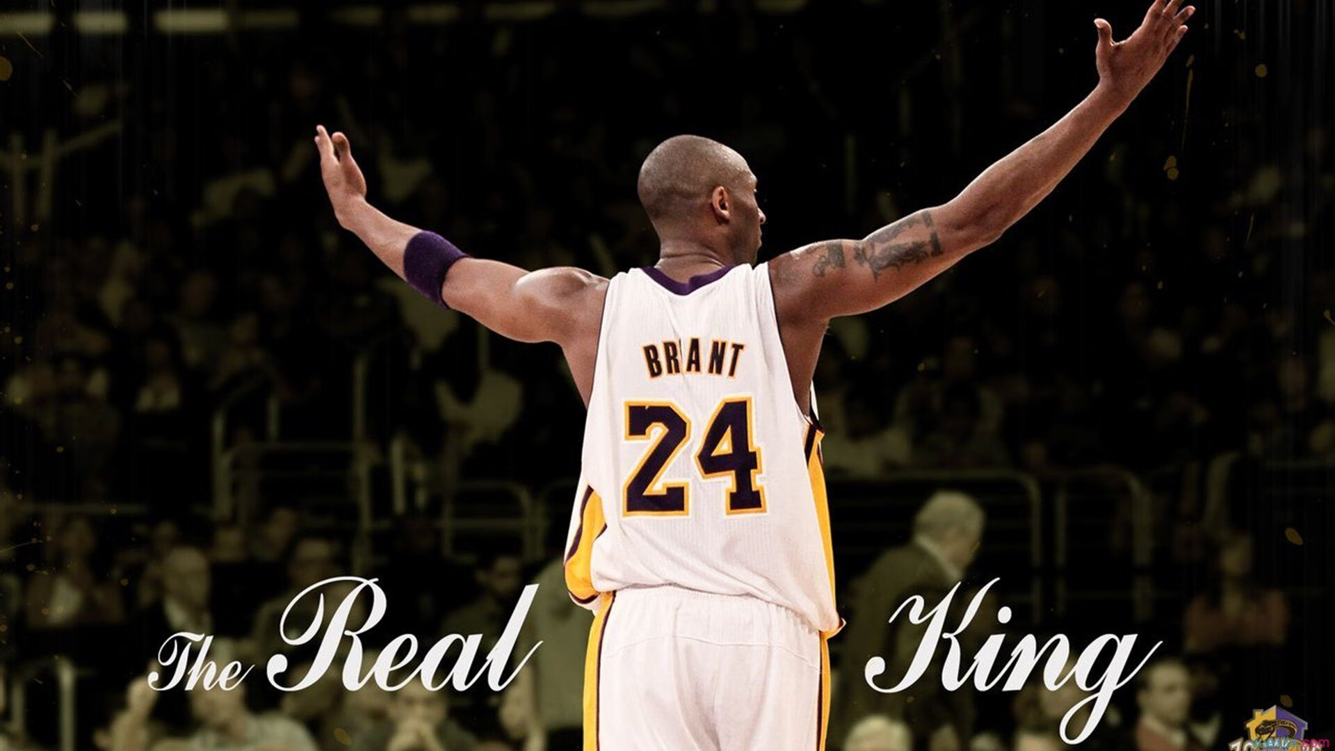 篮球青训体系不断完善，篮球青训队训练计划